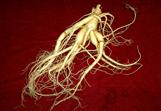 Panax Ginseng Root