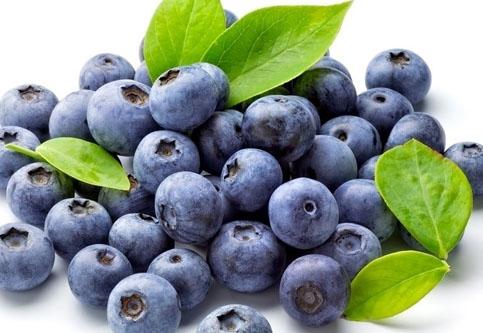 Blue Berry Extract Powder
