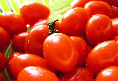 Lycopene