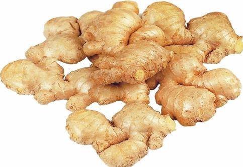 Ginger Extract Powder